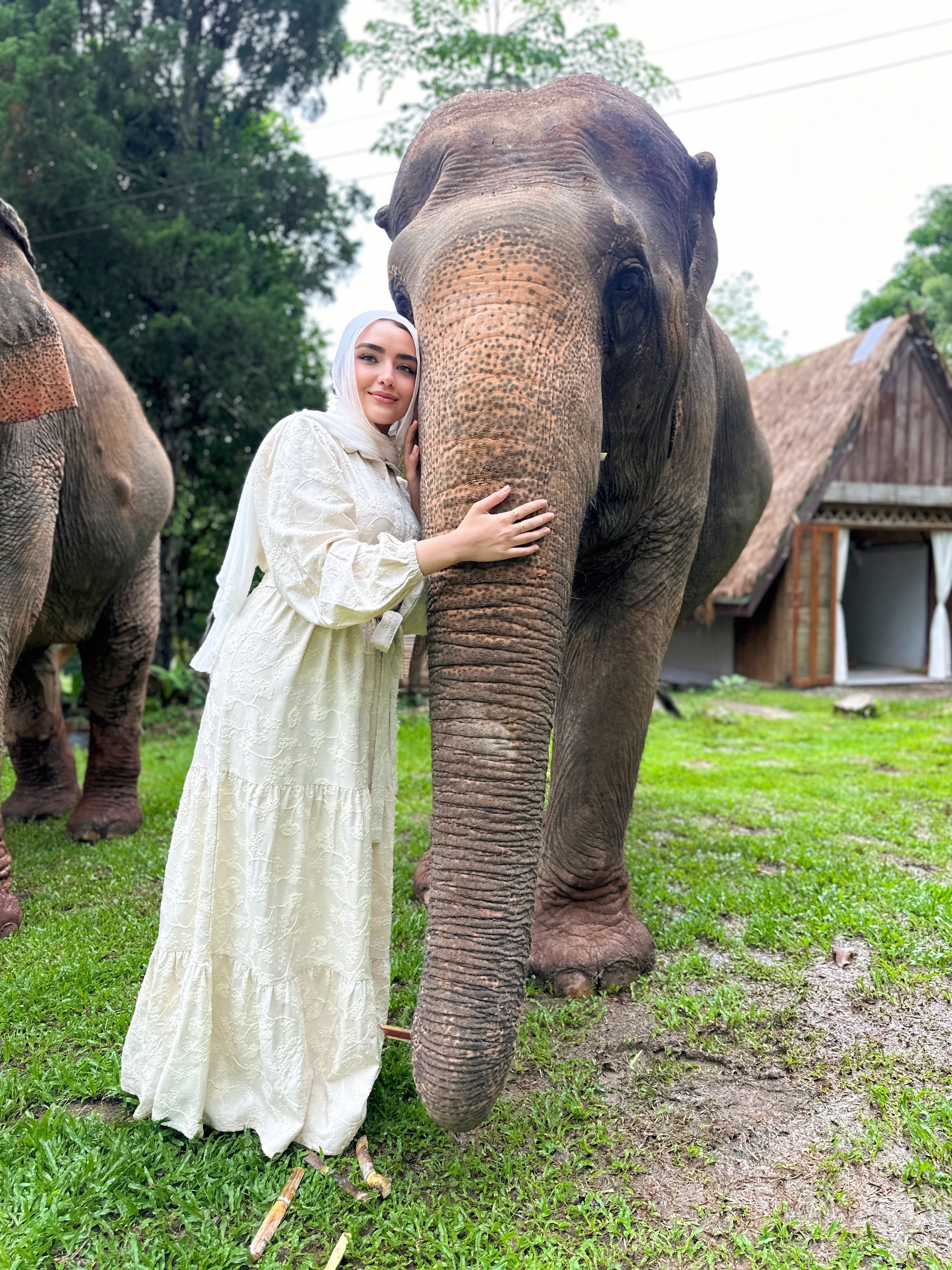 Embroidered Linen Dress