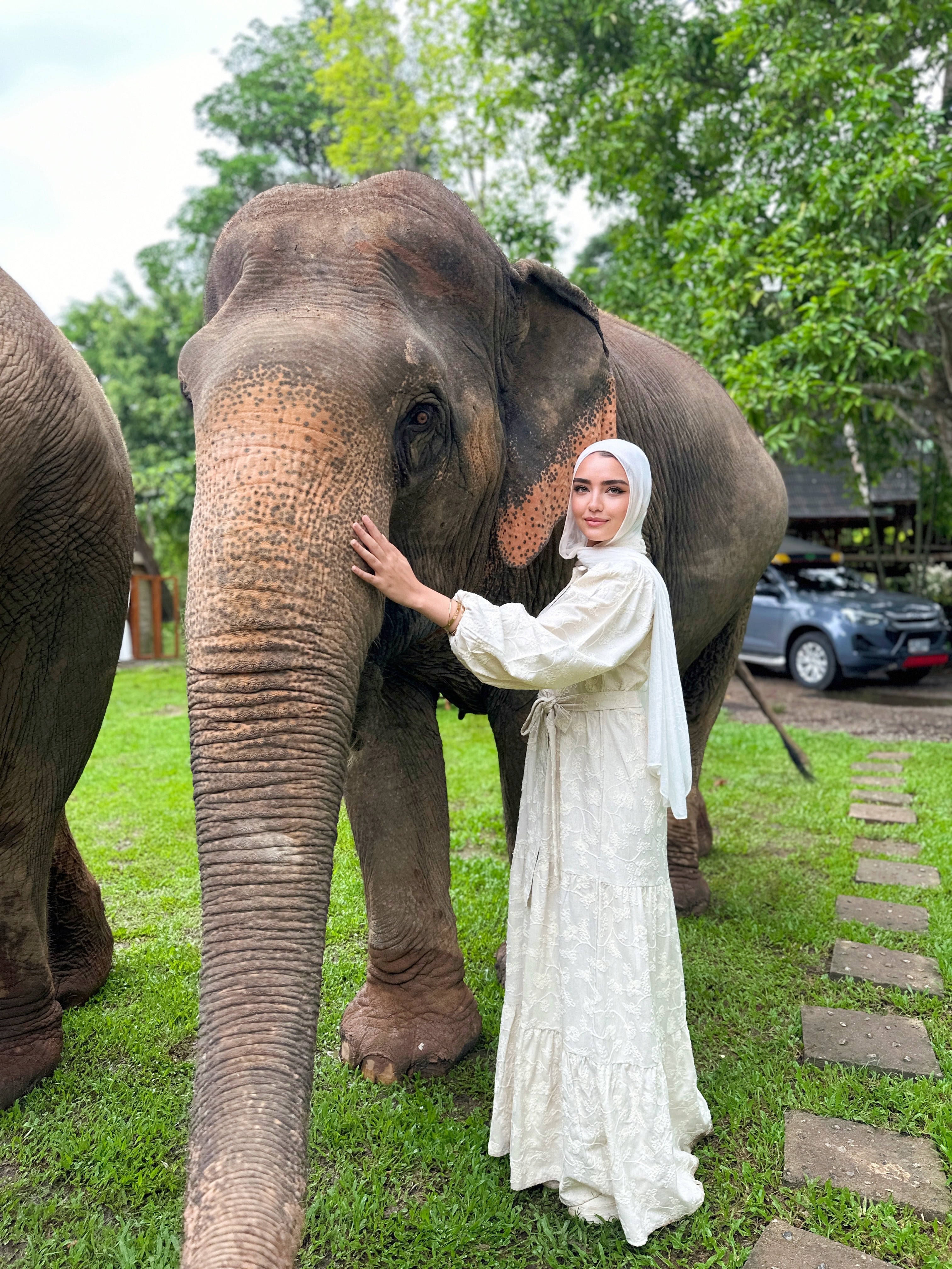 Embroidered Linen Dress