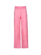 Tropical Curves Pants