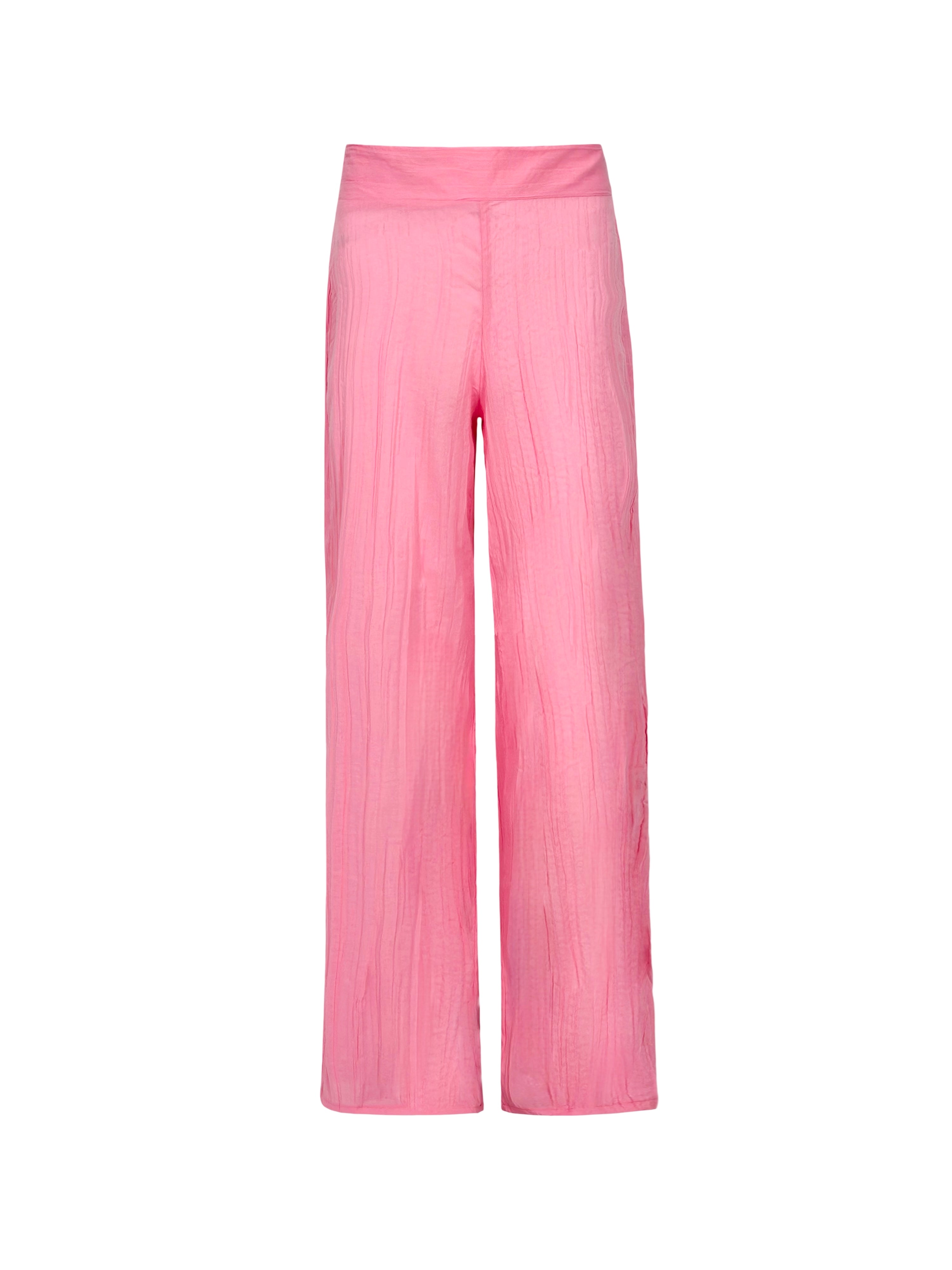 Tropical Curves Pants
