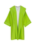 Electric Lime