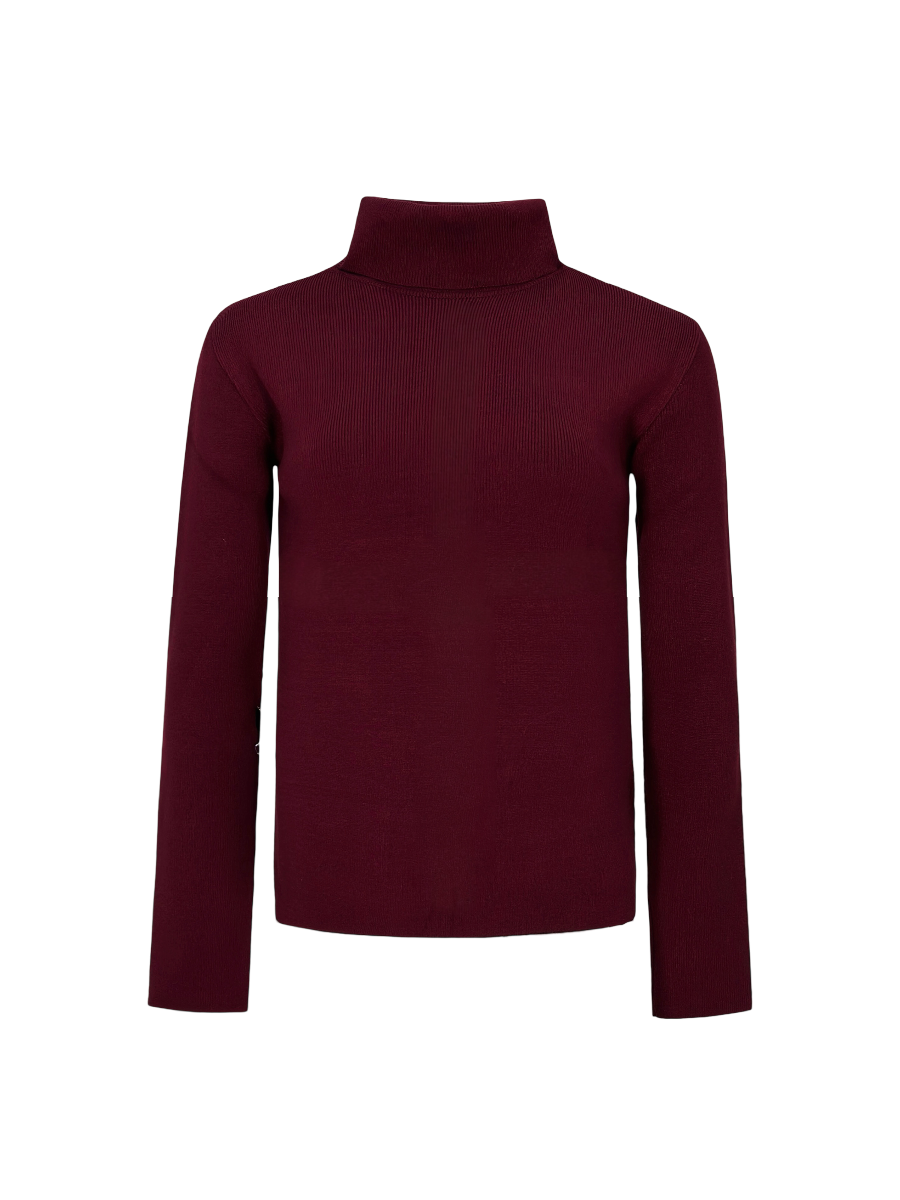 The Basic Turtle neck