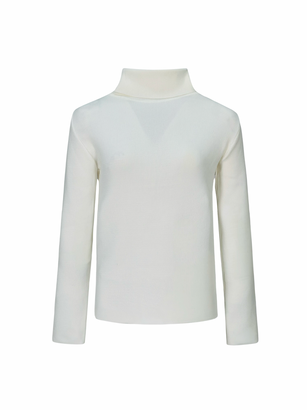 The Basic Turtle neck