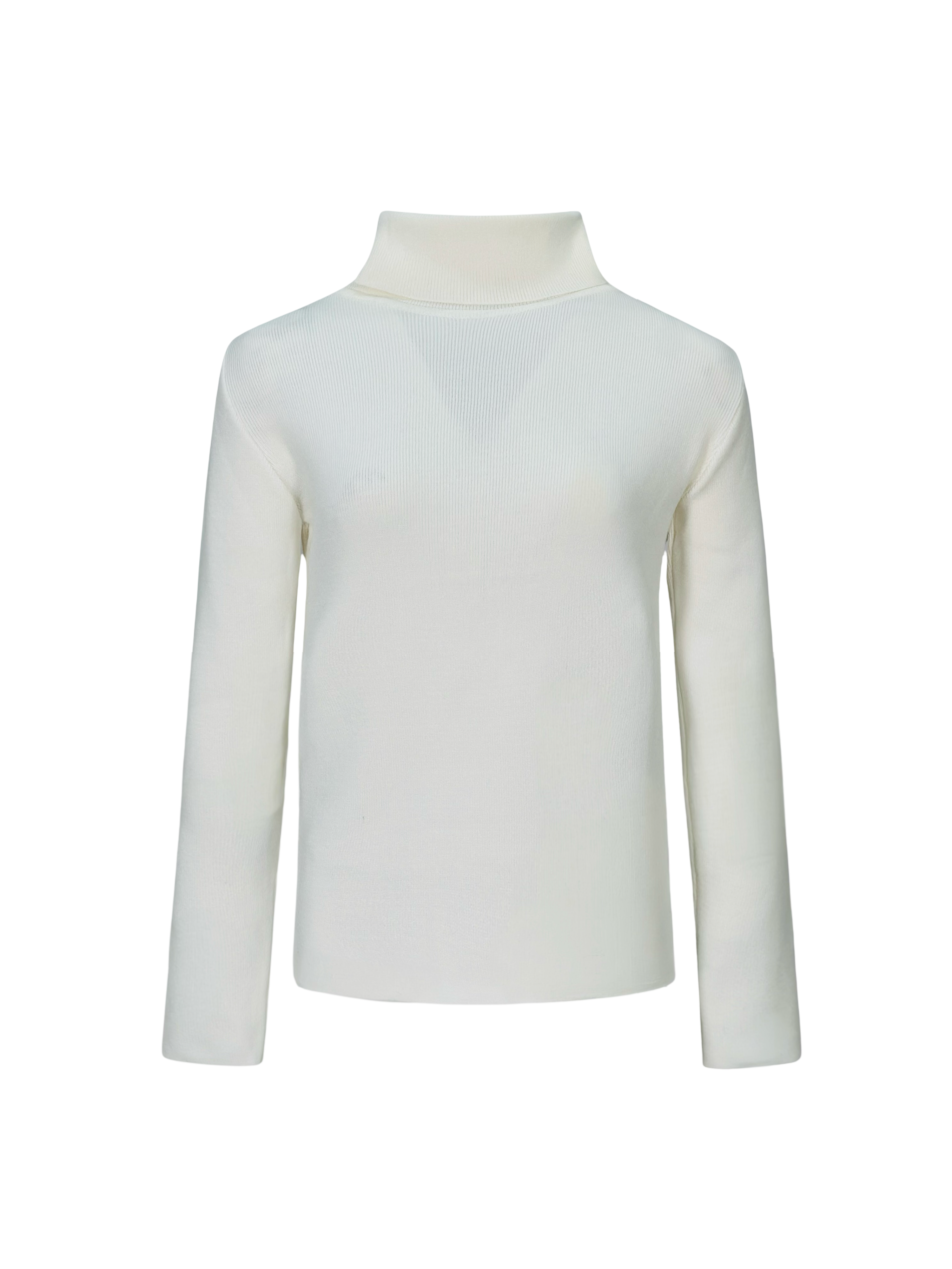 The Basic Turtle neck