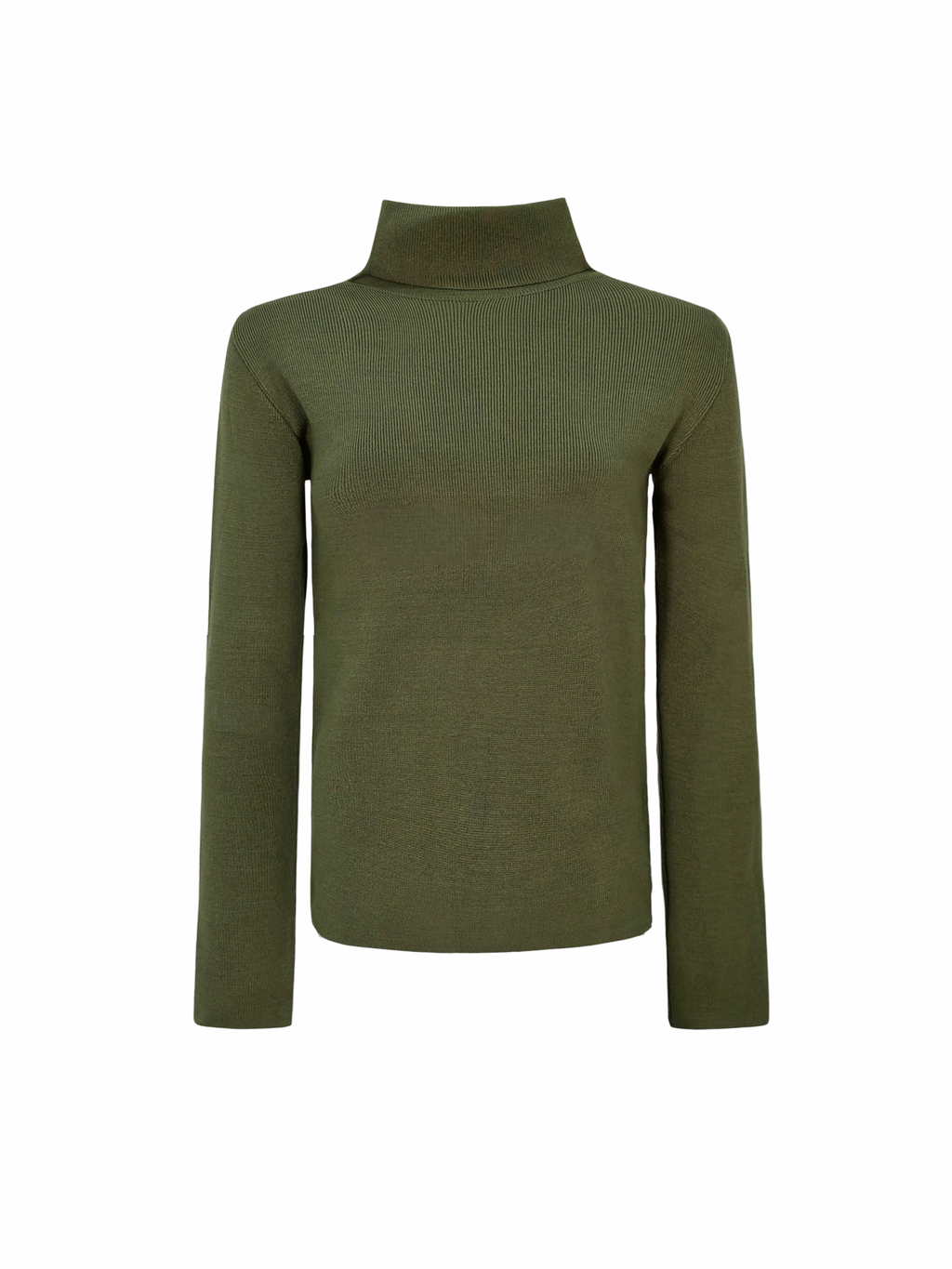 The Basic Turtle neck