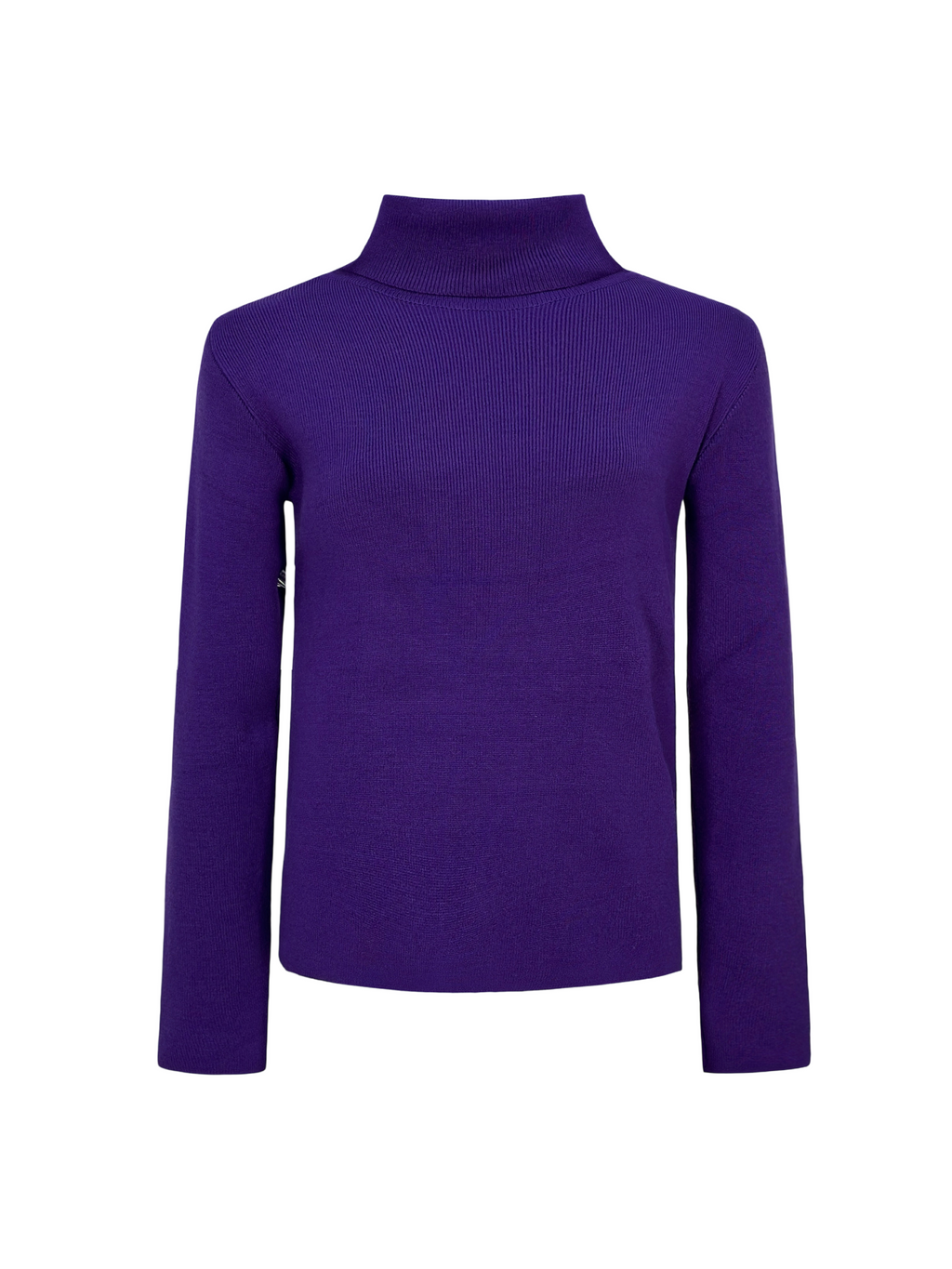 The Basic Turtle neck