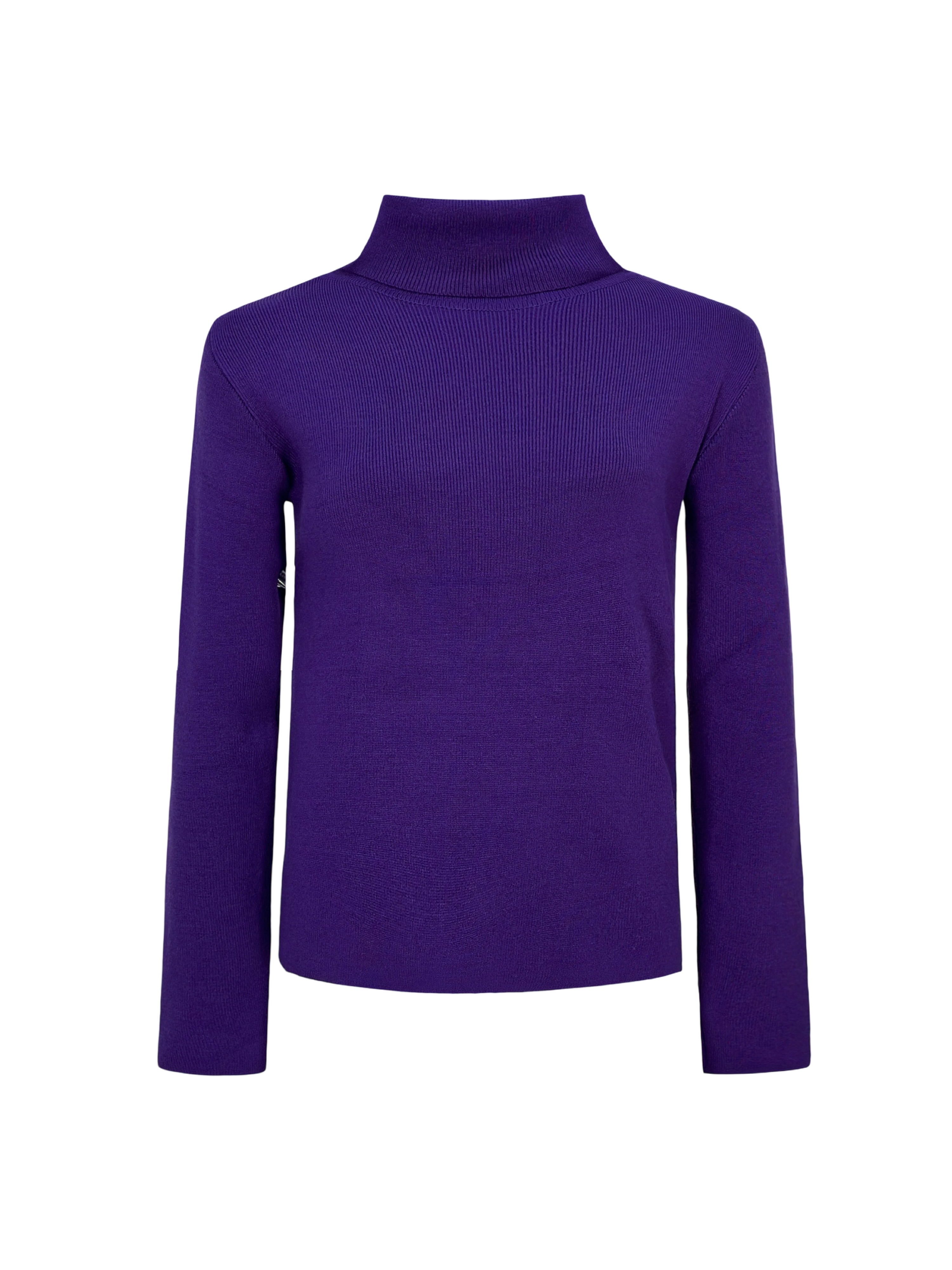 The Basic Turtle neck