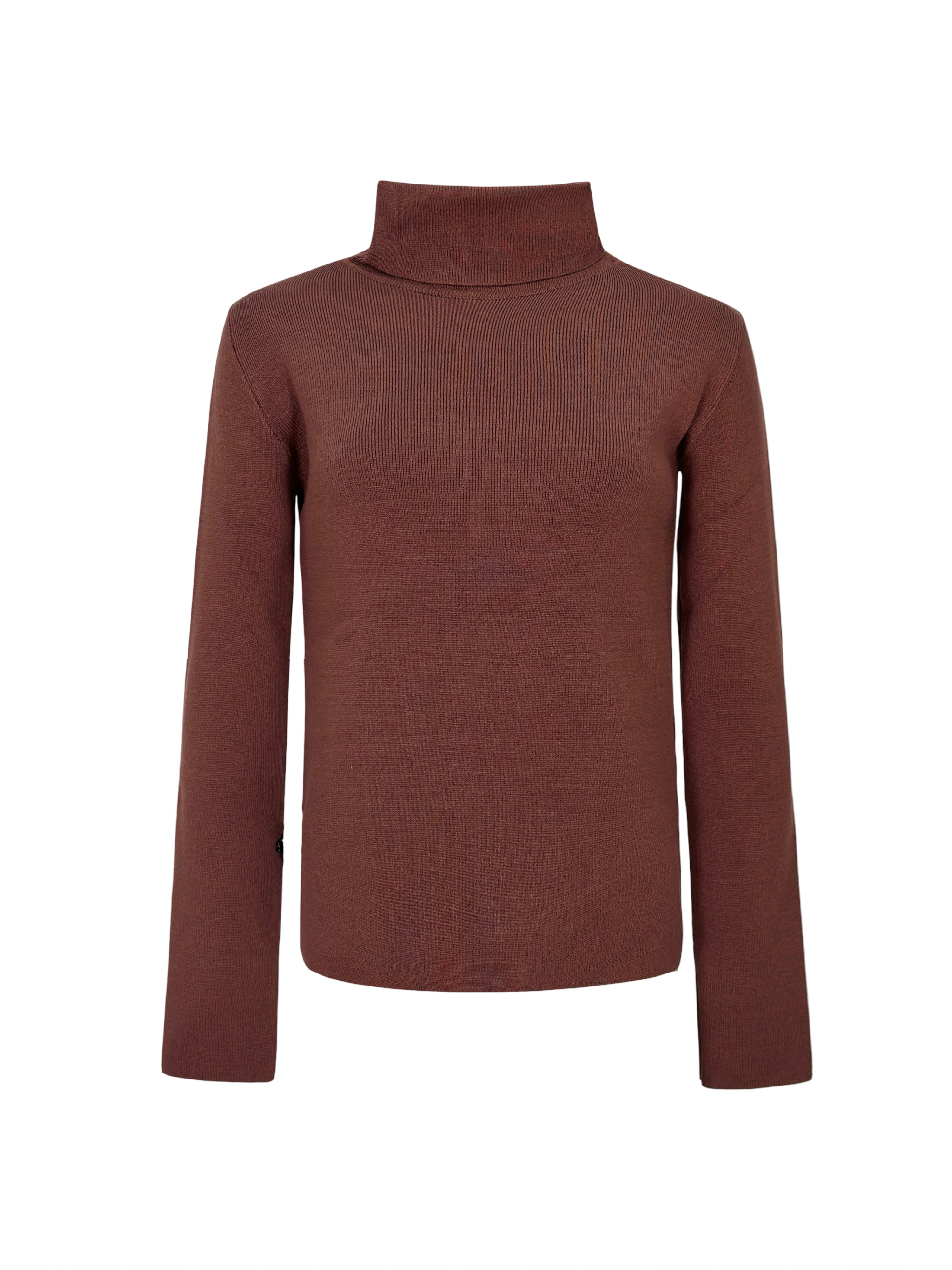 The Basic Turtle neck