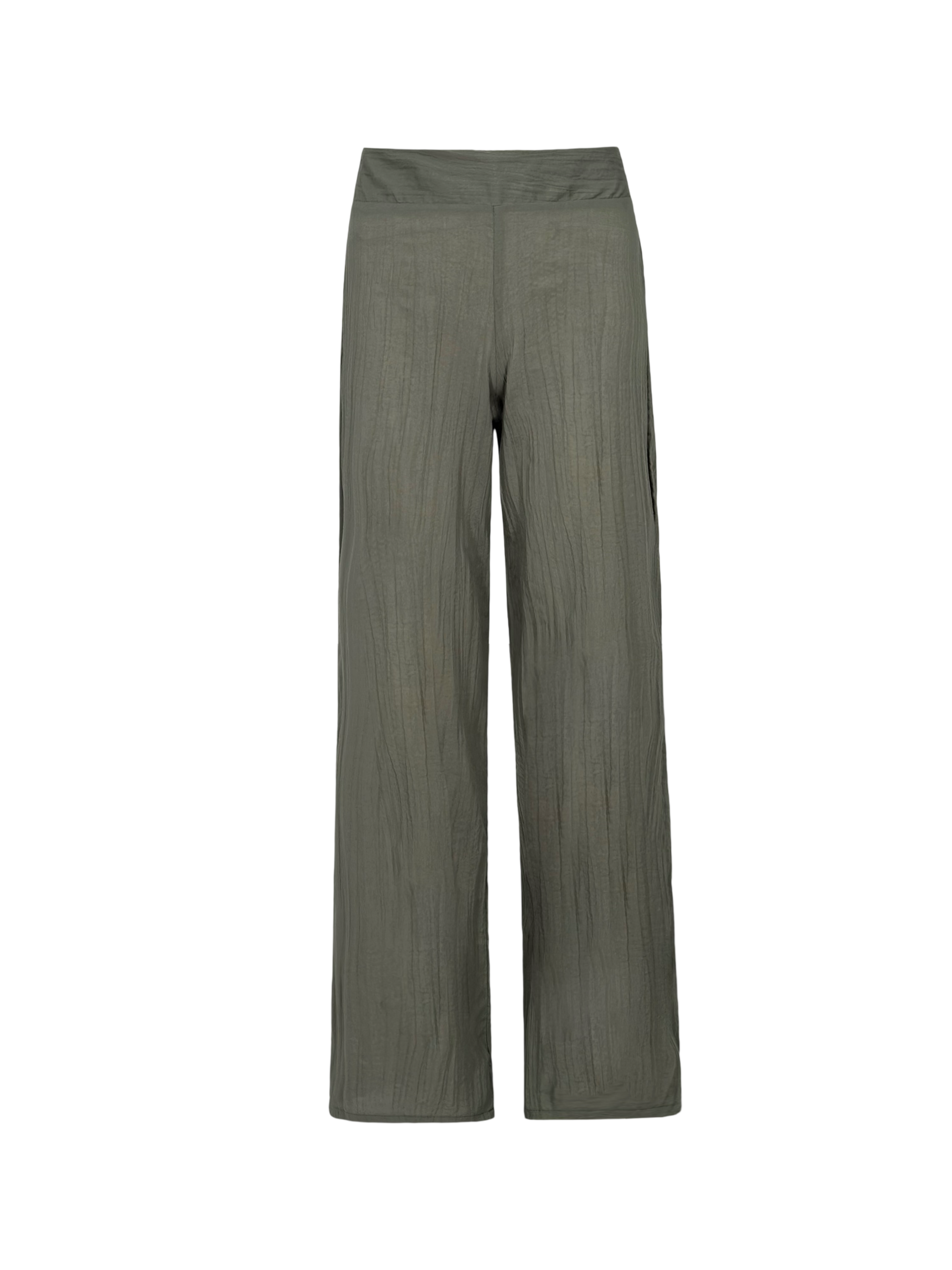 Tropical Curves Pants
