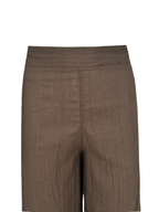 Tropical Curves Pants