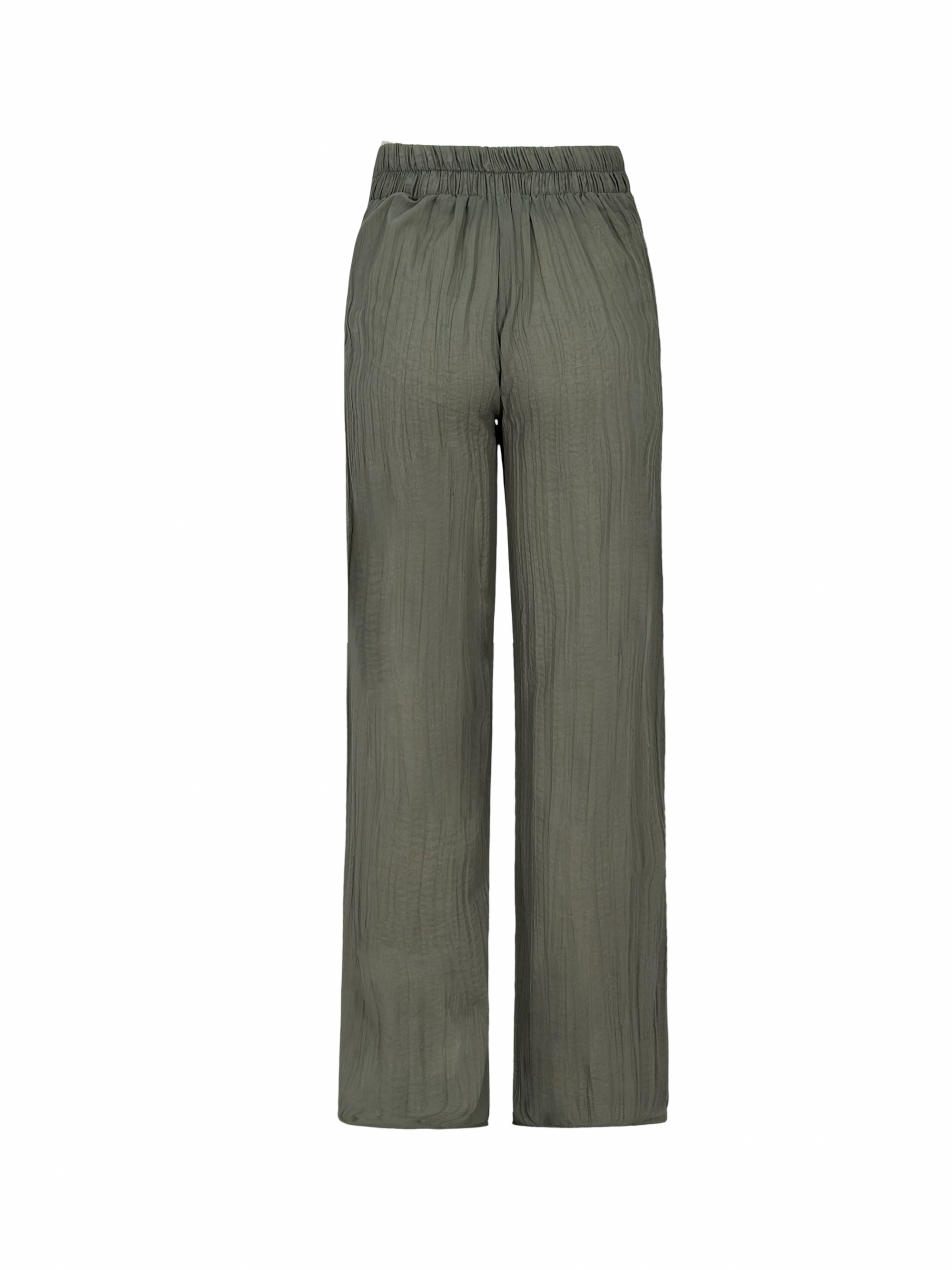 Tropical Curves Pants
