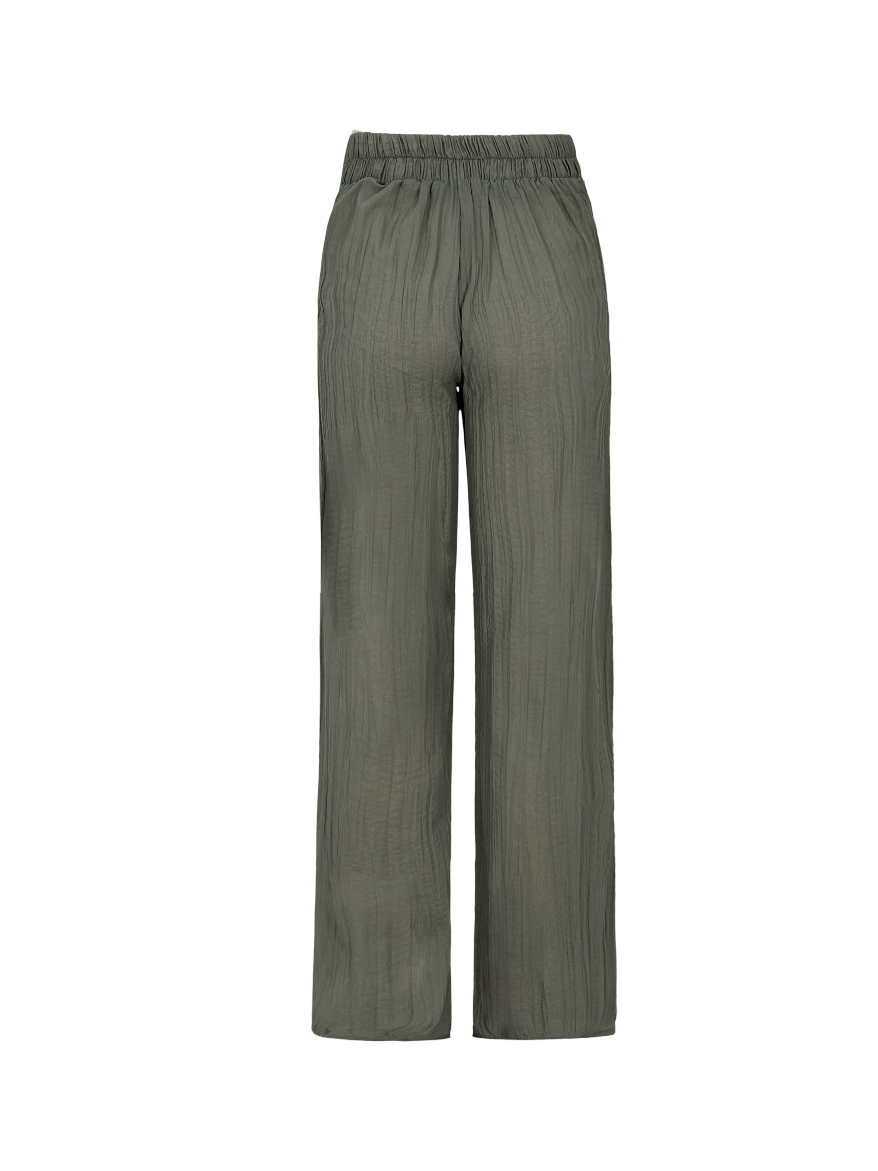 Tropical Curves Pants
