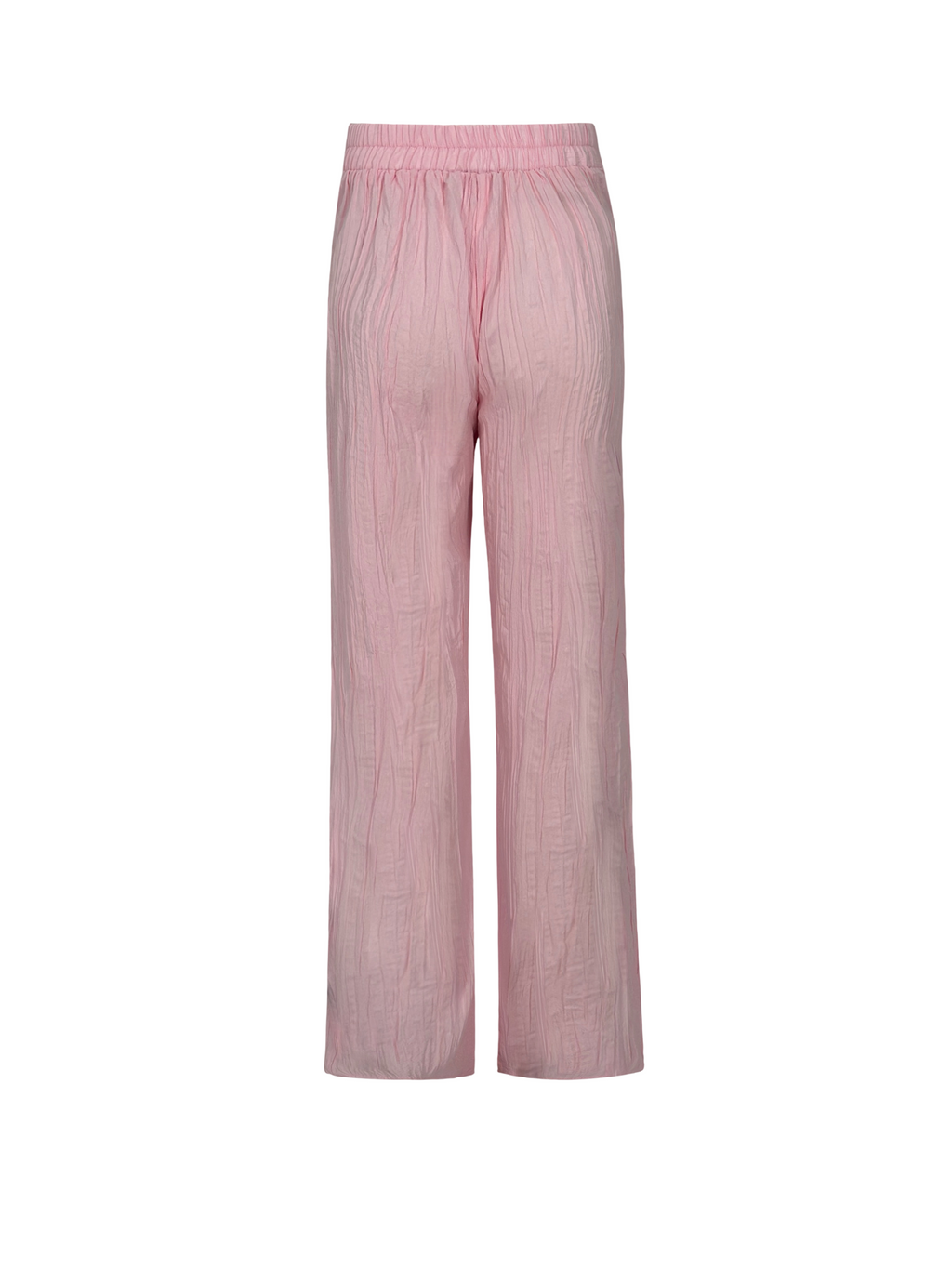 Tropical Curves Pants