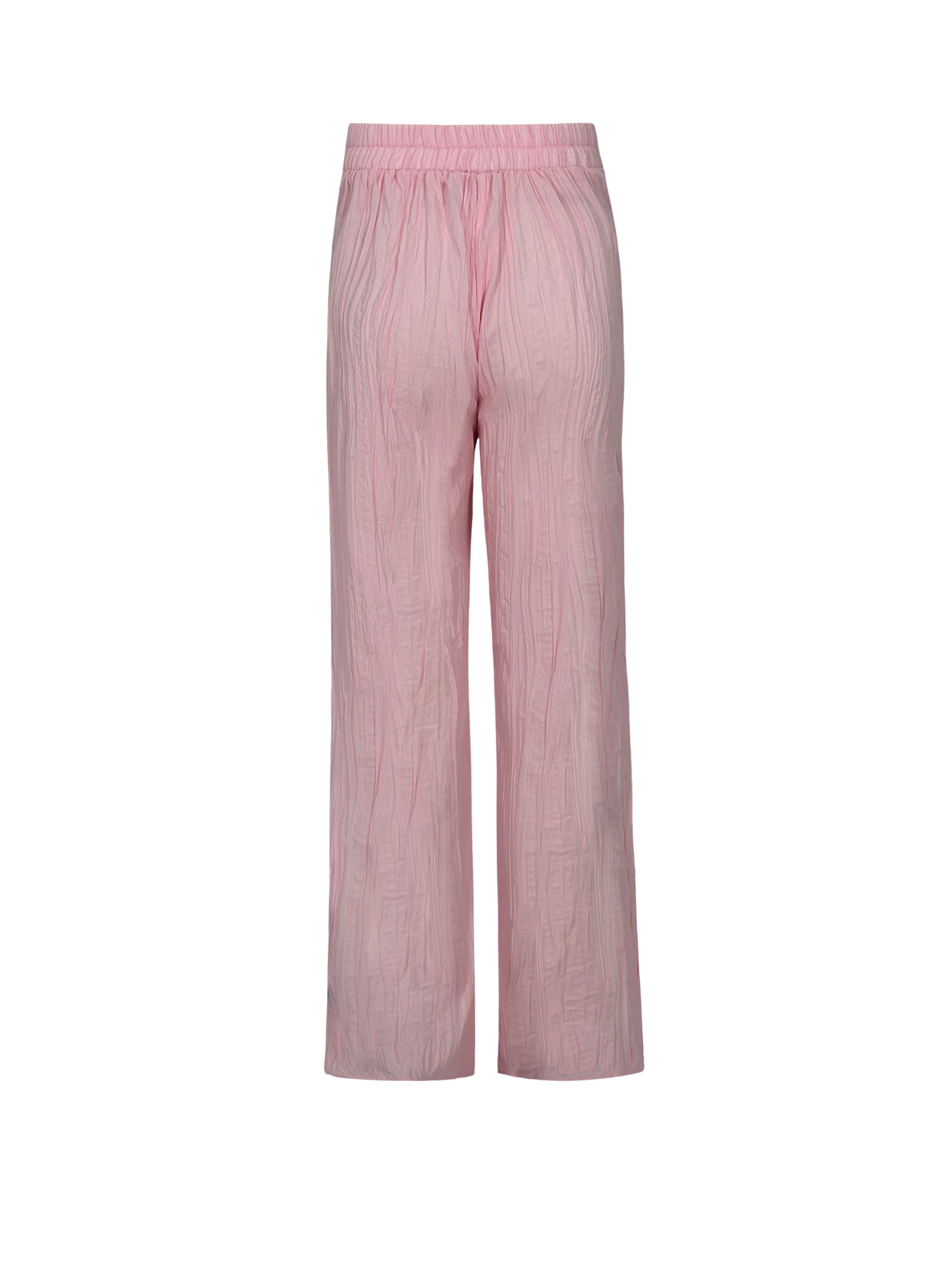 Tropical Curves Pants