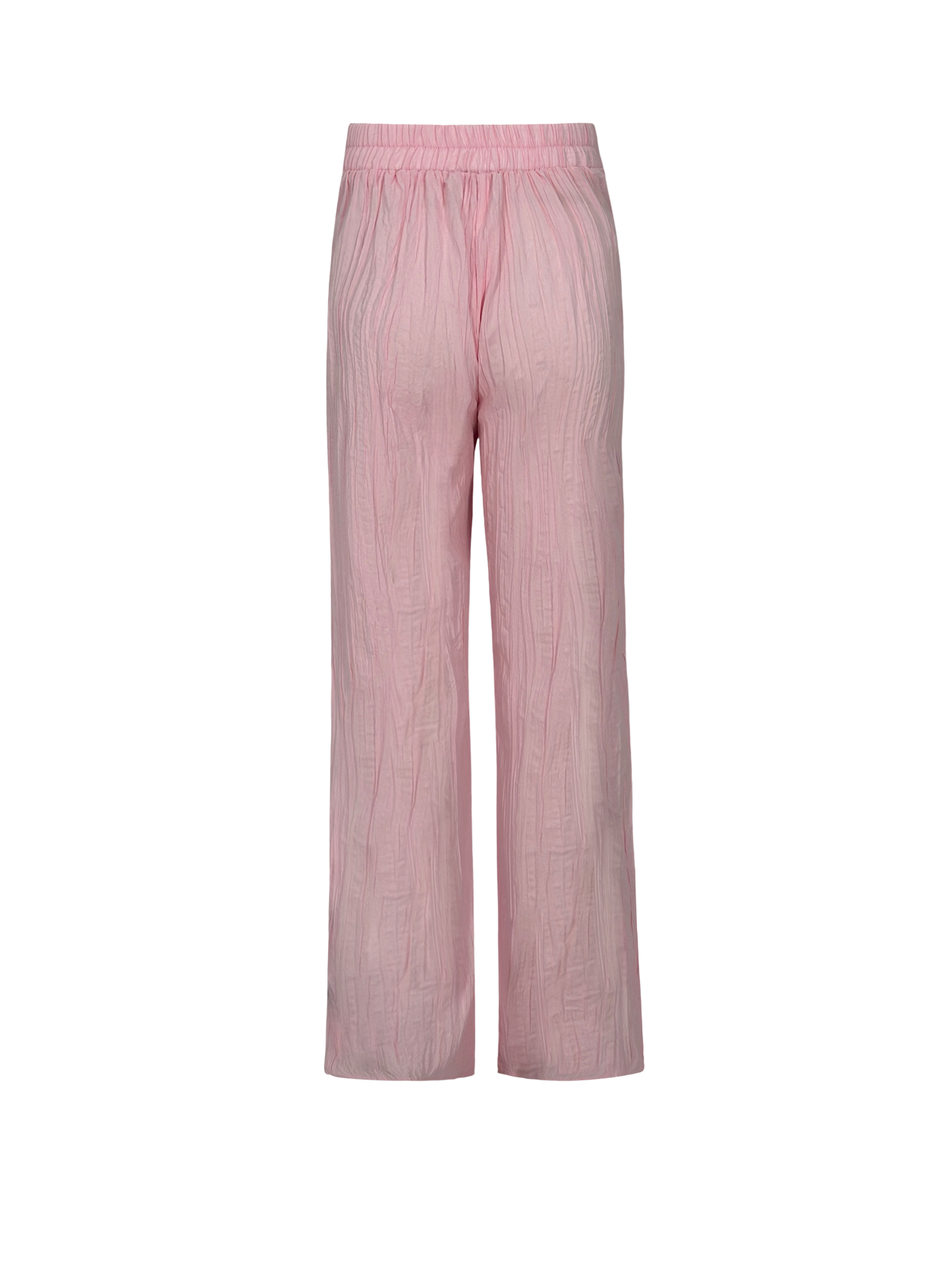 Tropical Curves Pants