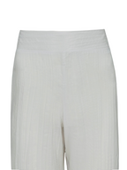 Tropical Curves Pants