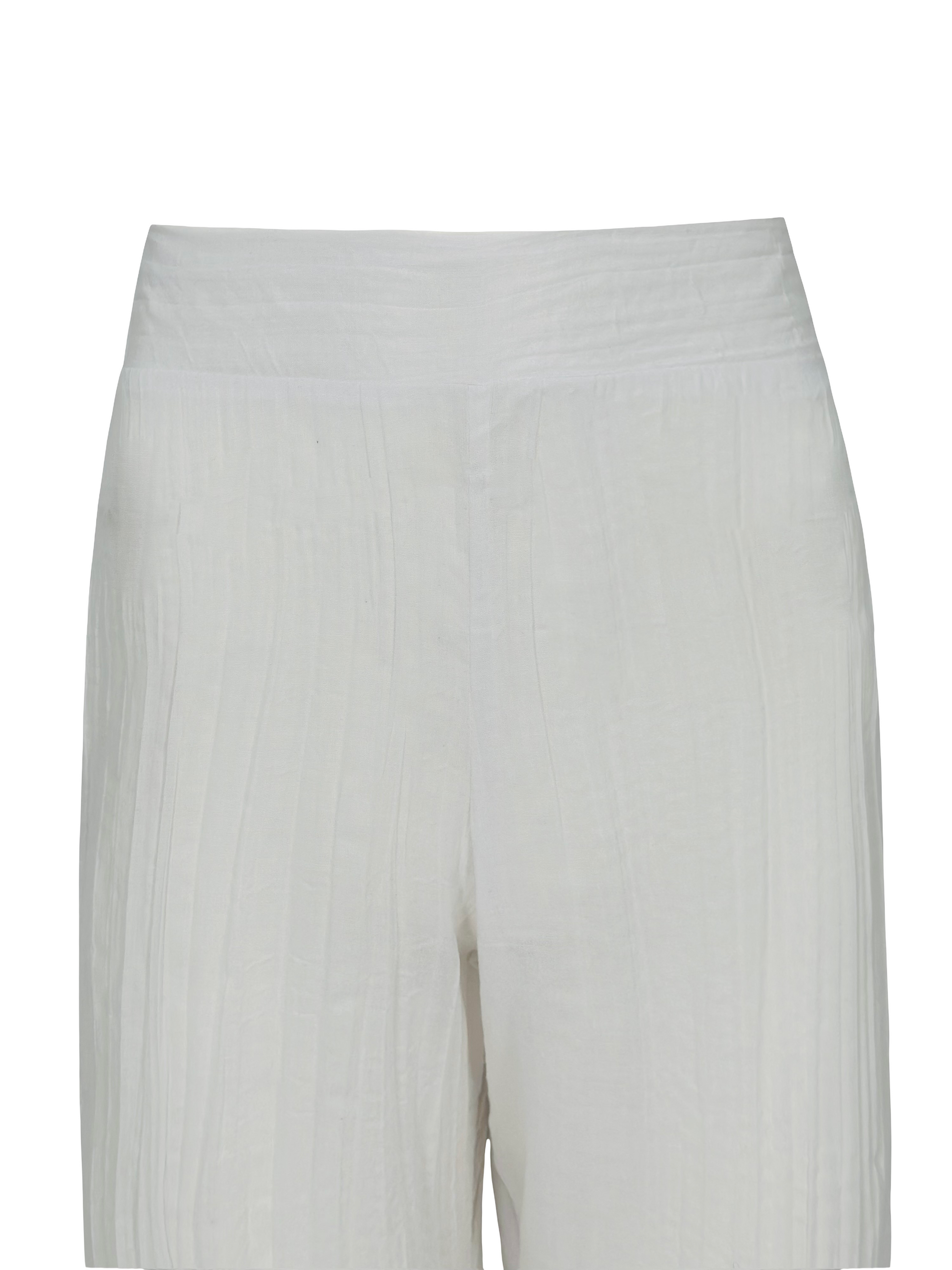 Tropical Curves Pants