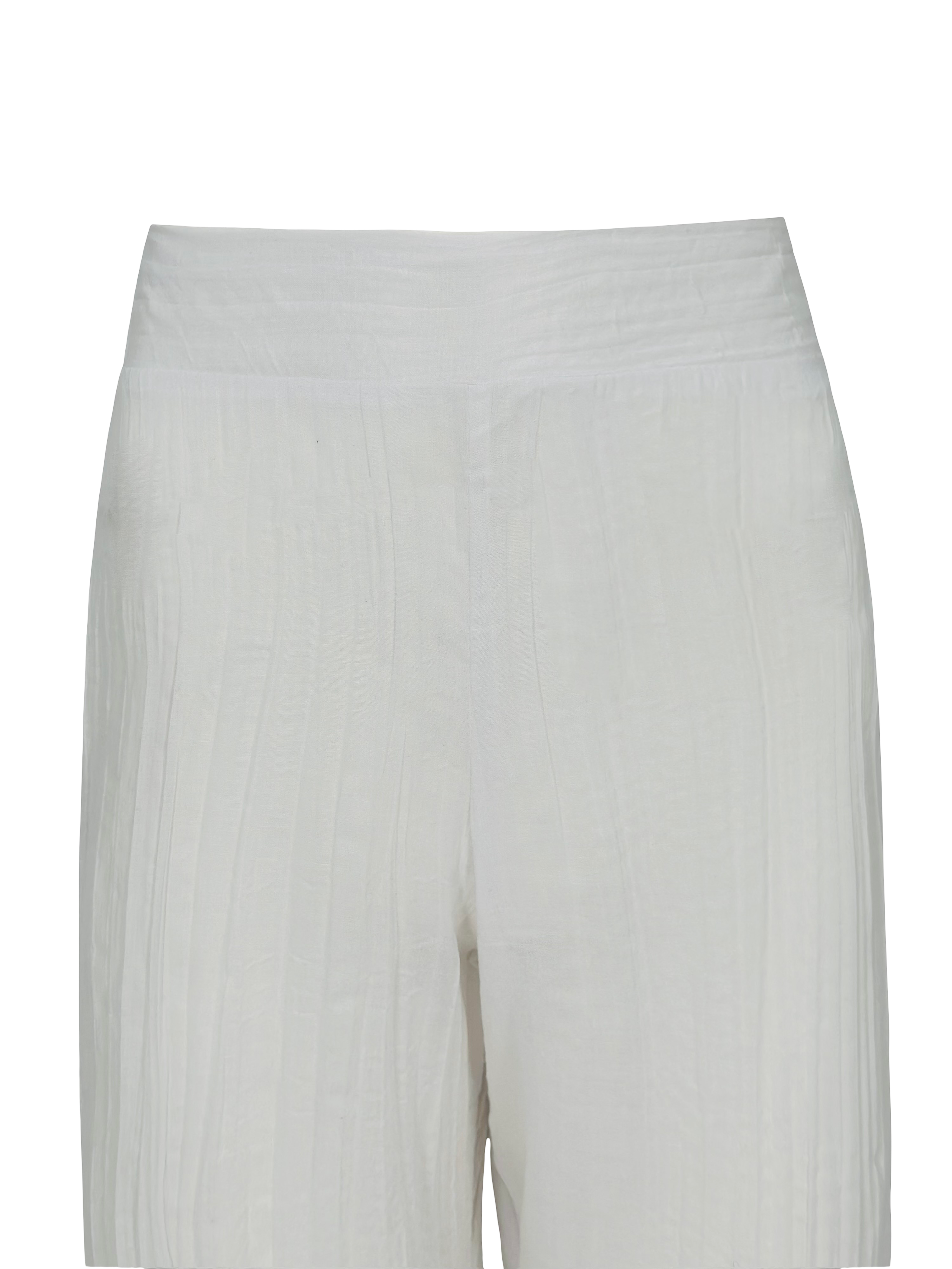 Tropical Curves Pants