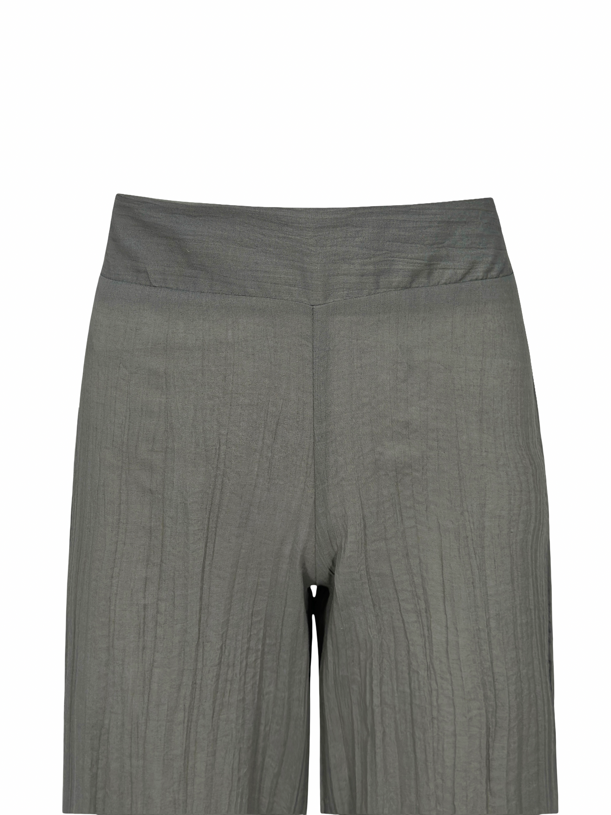 Tropical Curves Pants
