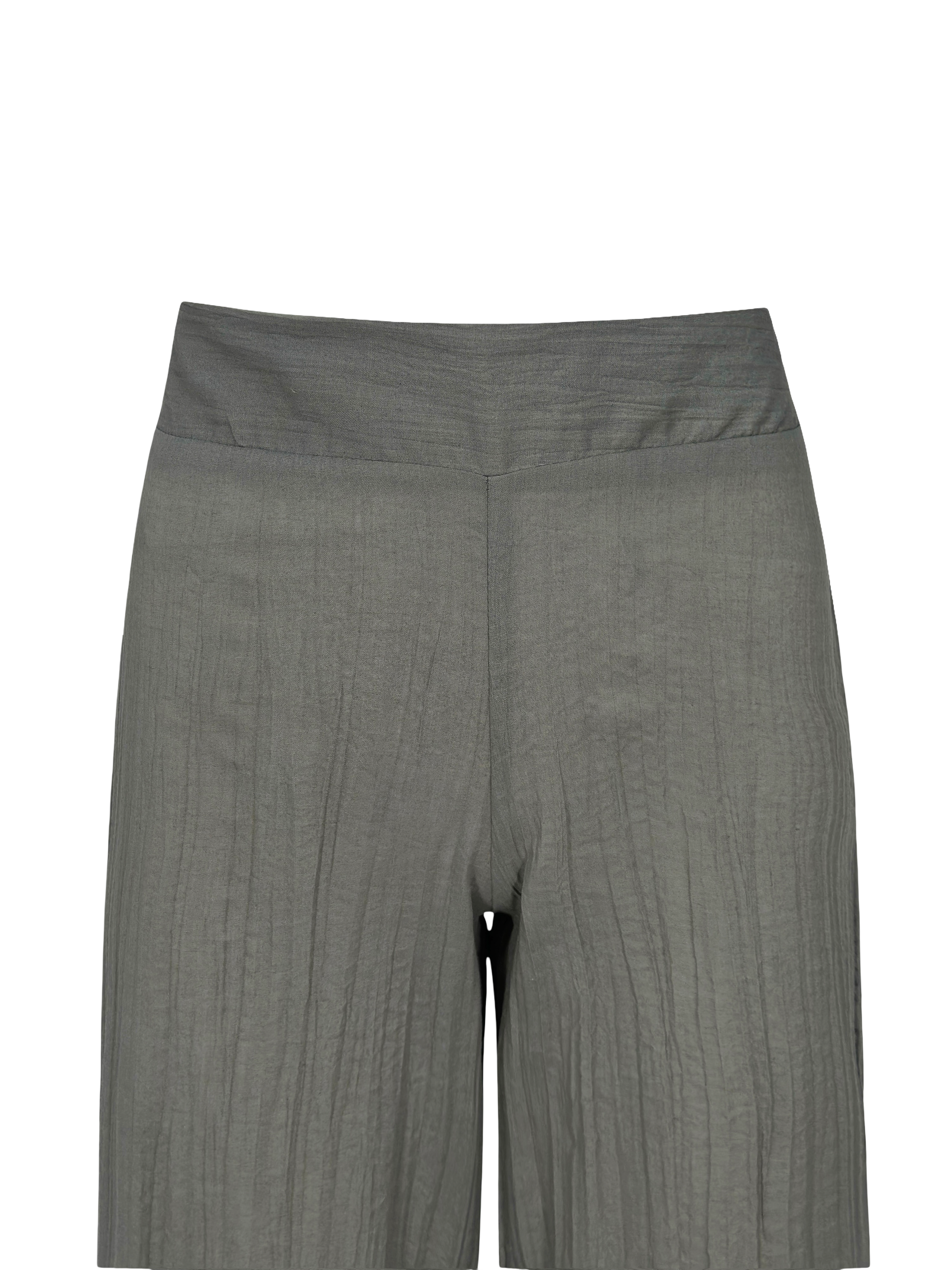 Tropical Curves Pants