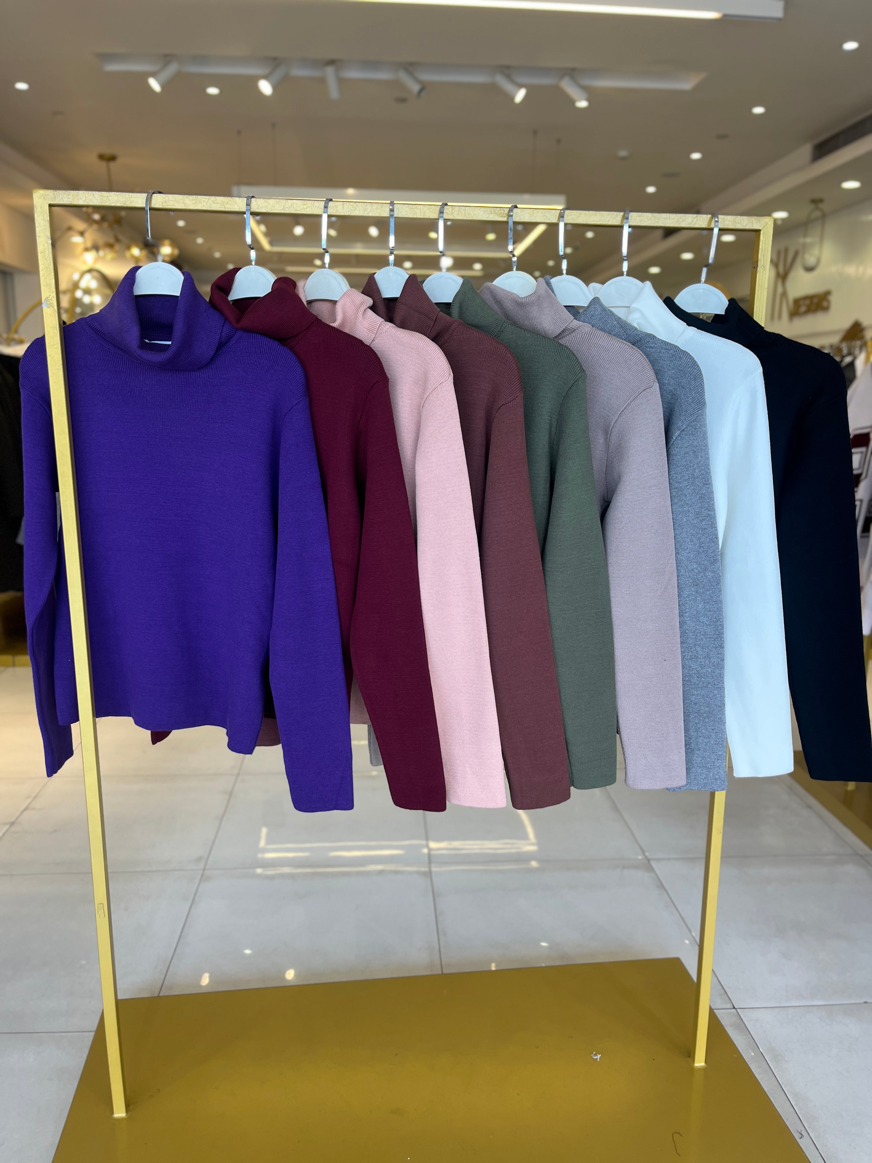 The Basic Turtle neck